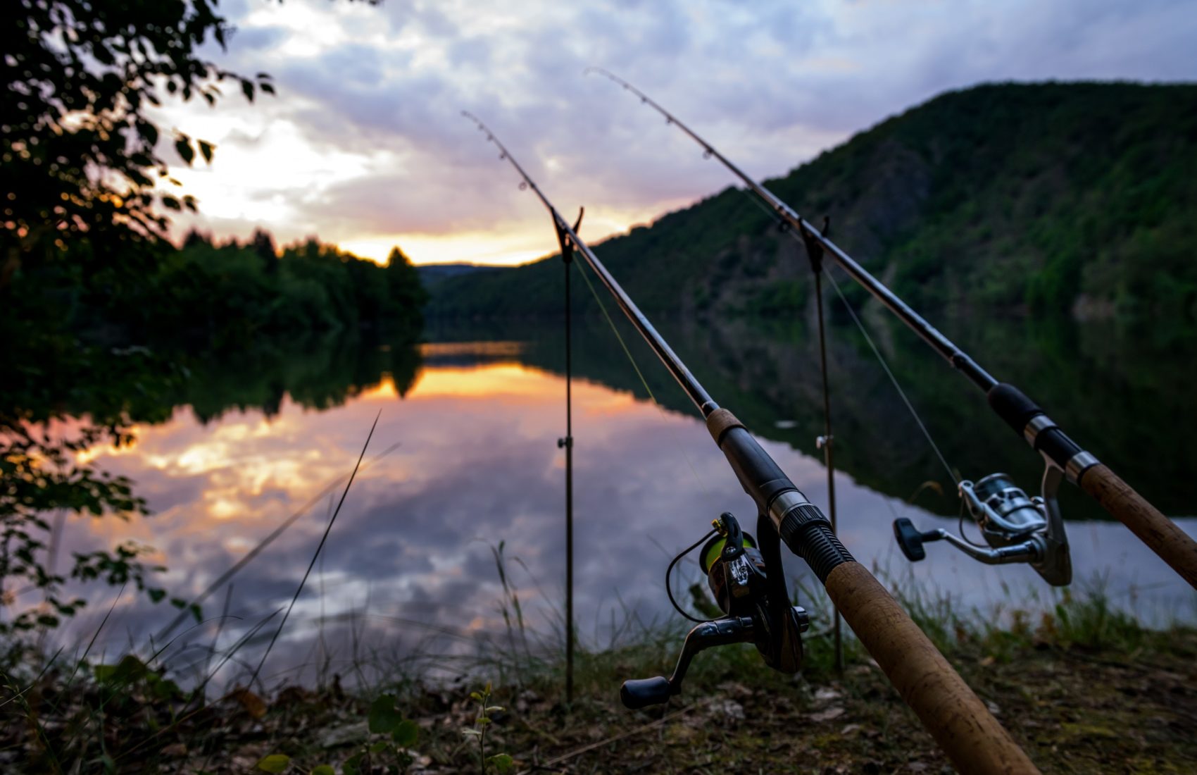 fishing-concepts-fishing-rods-river-morning-czech-republic